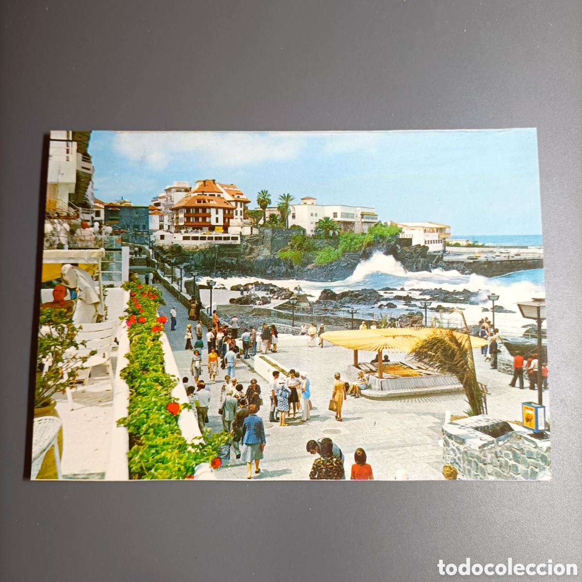 Postales: TARJETA POSTAL SIN CIRCULAR. №50 PUERTO DE LA CRUZ.