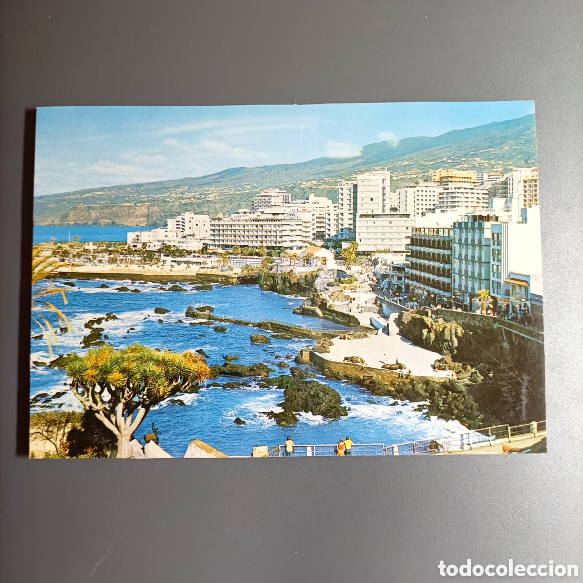 Postales: TARJETA POSTAL SIN CIRCULAR. №52 PUERTO DE LA CRUZ. VISTA PARCIAL