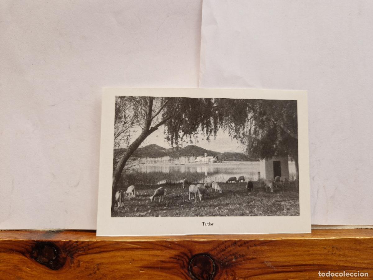 Postales: BONITA FOTOGRAFIA EN PAPEL. BANYOLES. TARDOR.