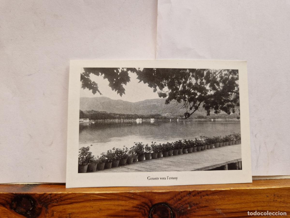 Postales: BONITA FOTOGRAFIA EN PAPEL. BANYOLES. GERANIS VORA I'ESTANY
