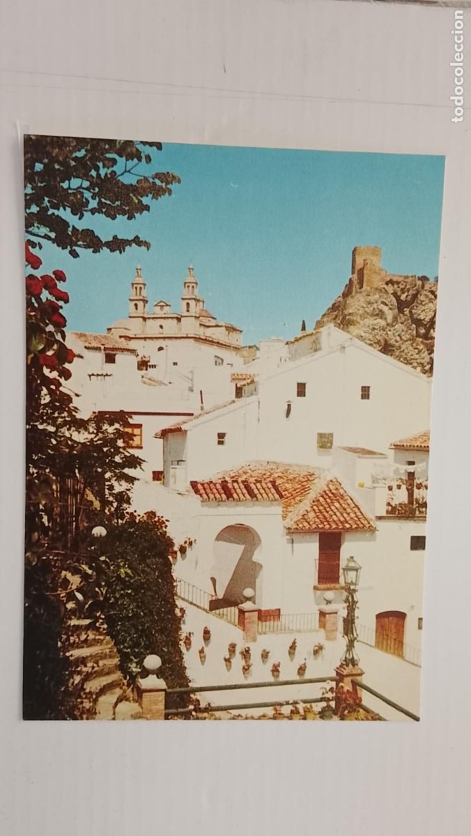 Postales: postal cadiz provincia - pueblos - olvera