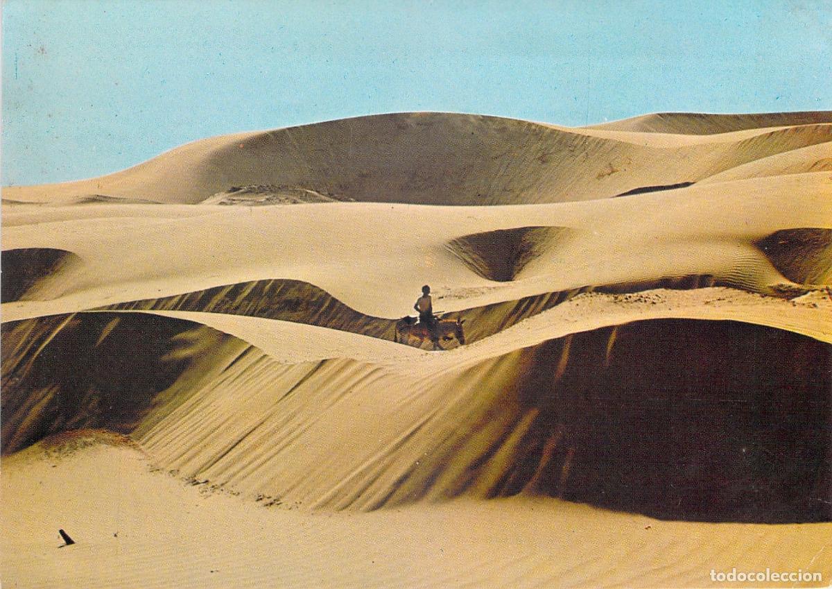 Postales: Postal de Los Medanos de Coro Venezuela