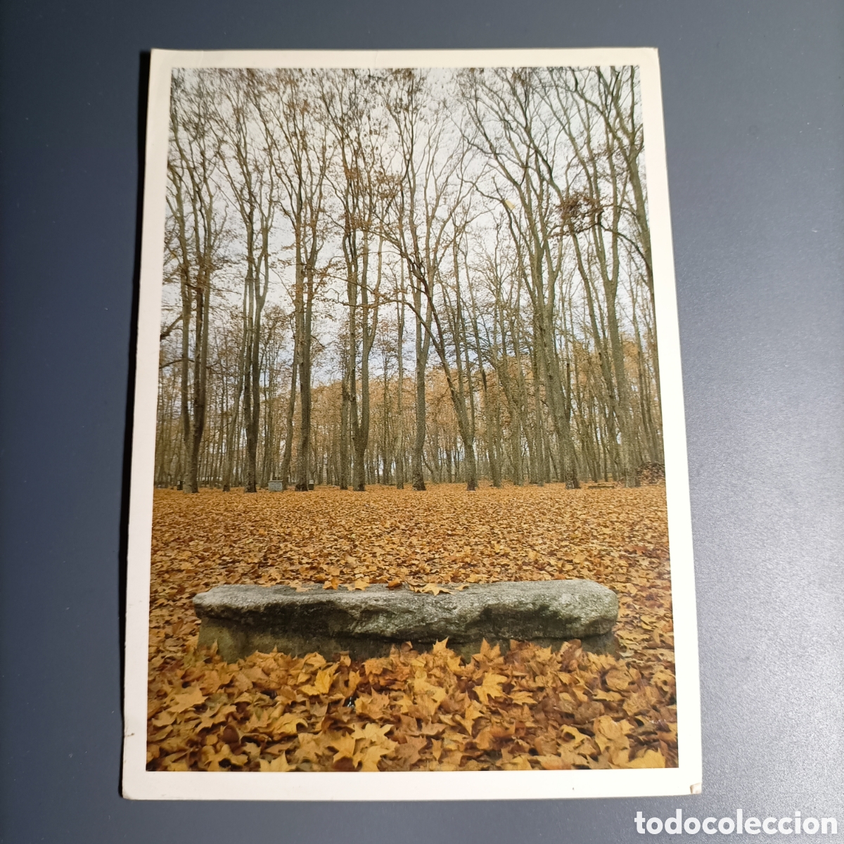 Postales: TARJETA POSTAL ESCRITA. DEVESA - GIRONA