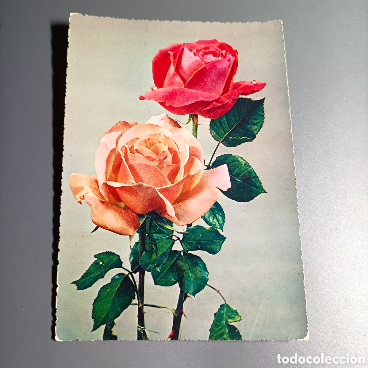 Postales: TARJETA POSTAL SIN CIRCULAR. №212
