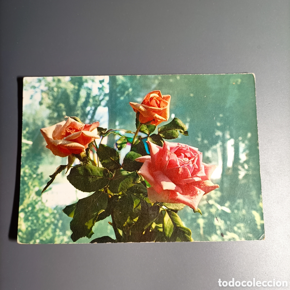 Postales: TARJETA POSTAL CIRCULADA. №10010