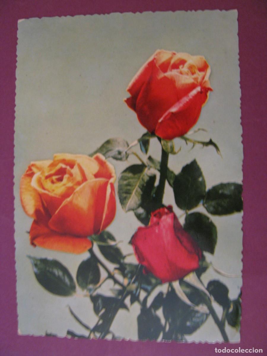 Postales: POSTAL DE FLORES. ROSAS. 13310/E. ESCRITA - Foto 1