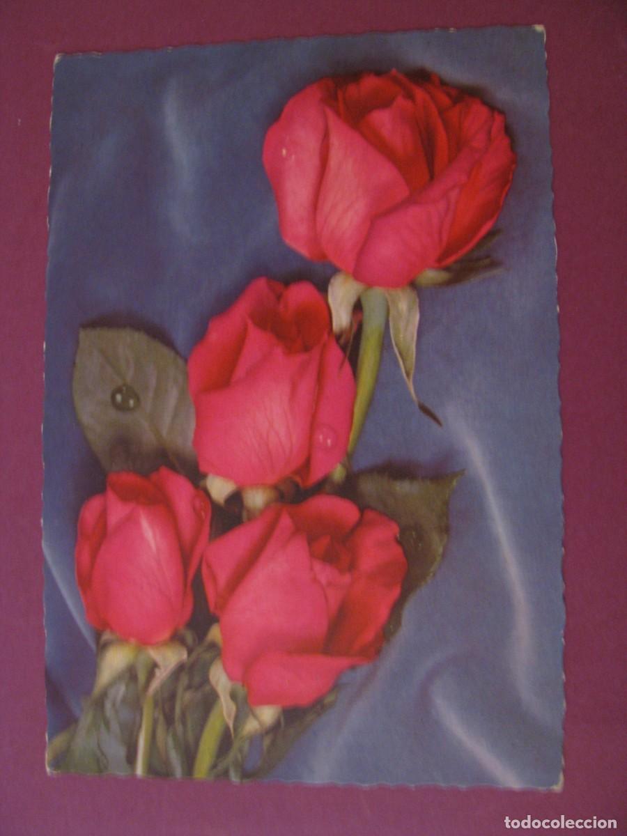 Postales: POSTAL DE FLORES. ROSAS. C. Y Z. 6037 - Foto 1