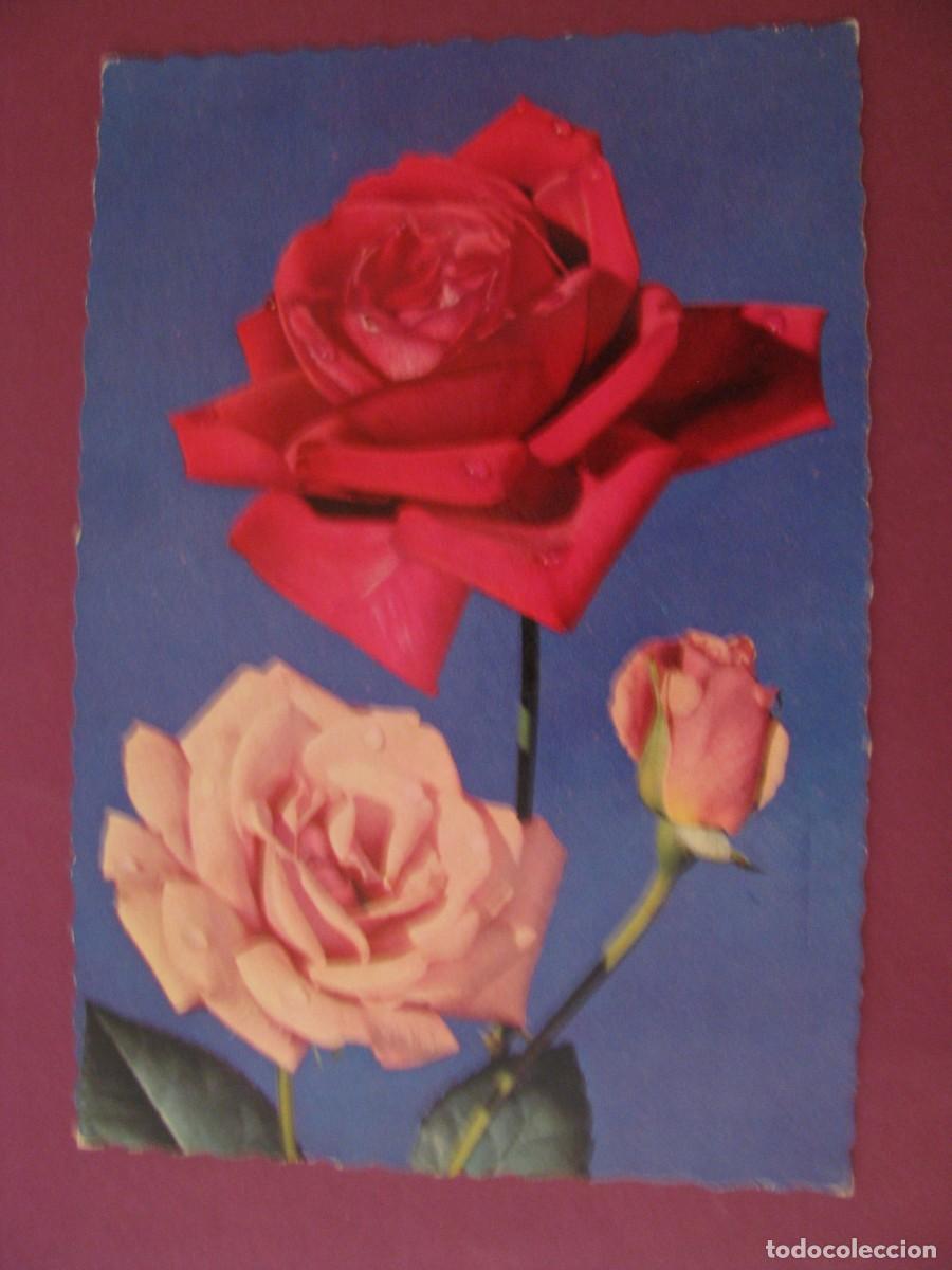 Postales: POSTAL DE FLORES. ROSAS. C. Y Z. 6291. ESCRITA 1964