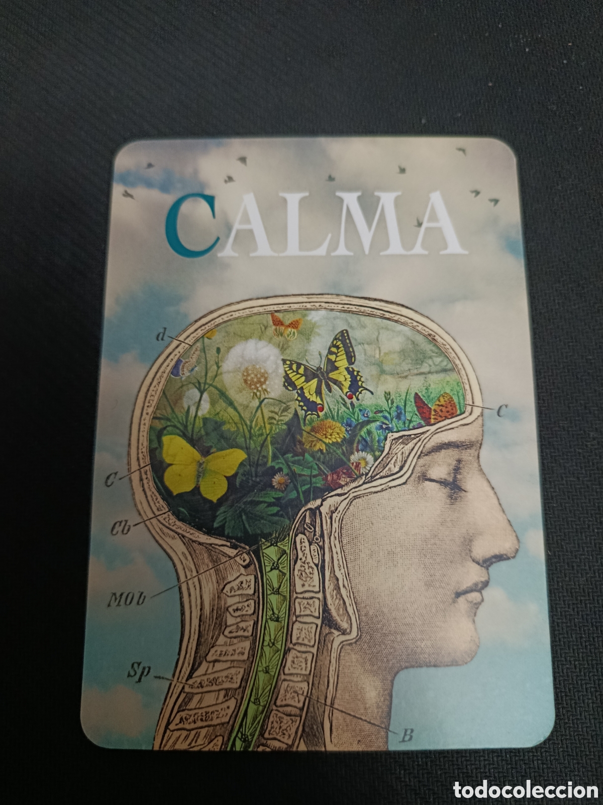 Postales: Postal el lucernario - calma
