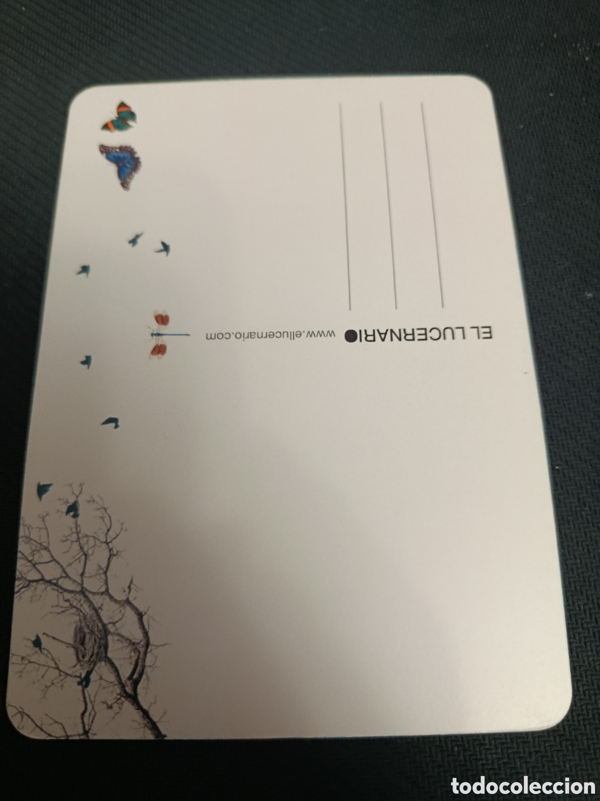 Postales: Postal el lucernario - calma - Foto 2