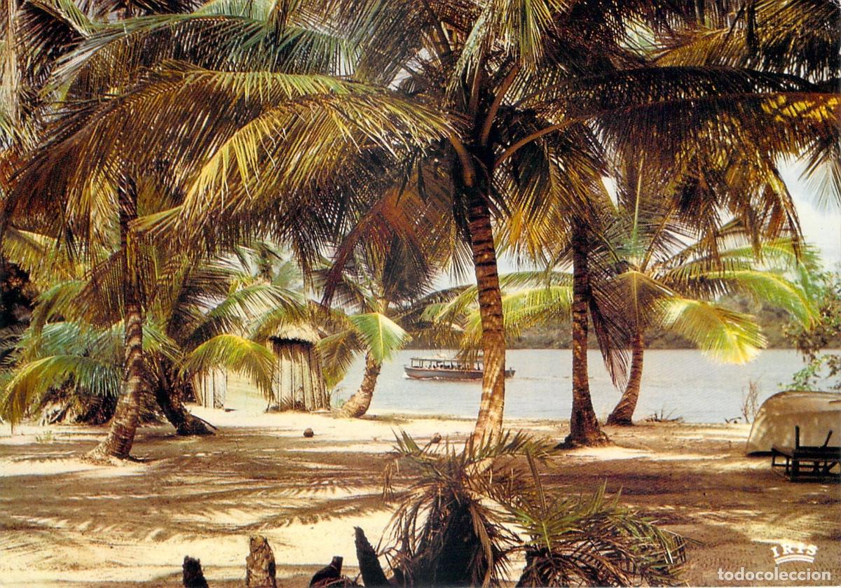 Postales: Postal de paisaje tropical con palmeras y playa en &Aacute;frica
