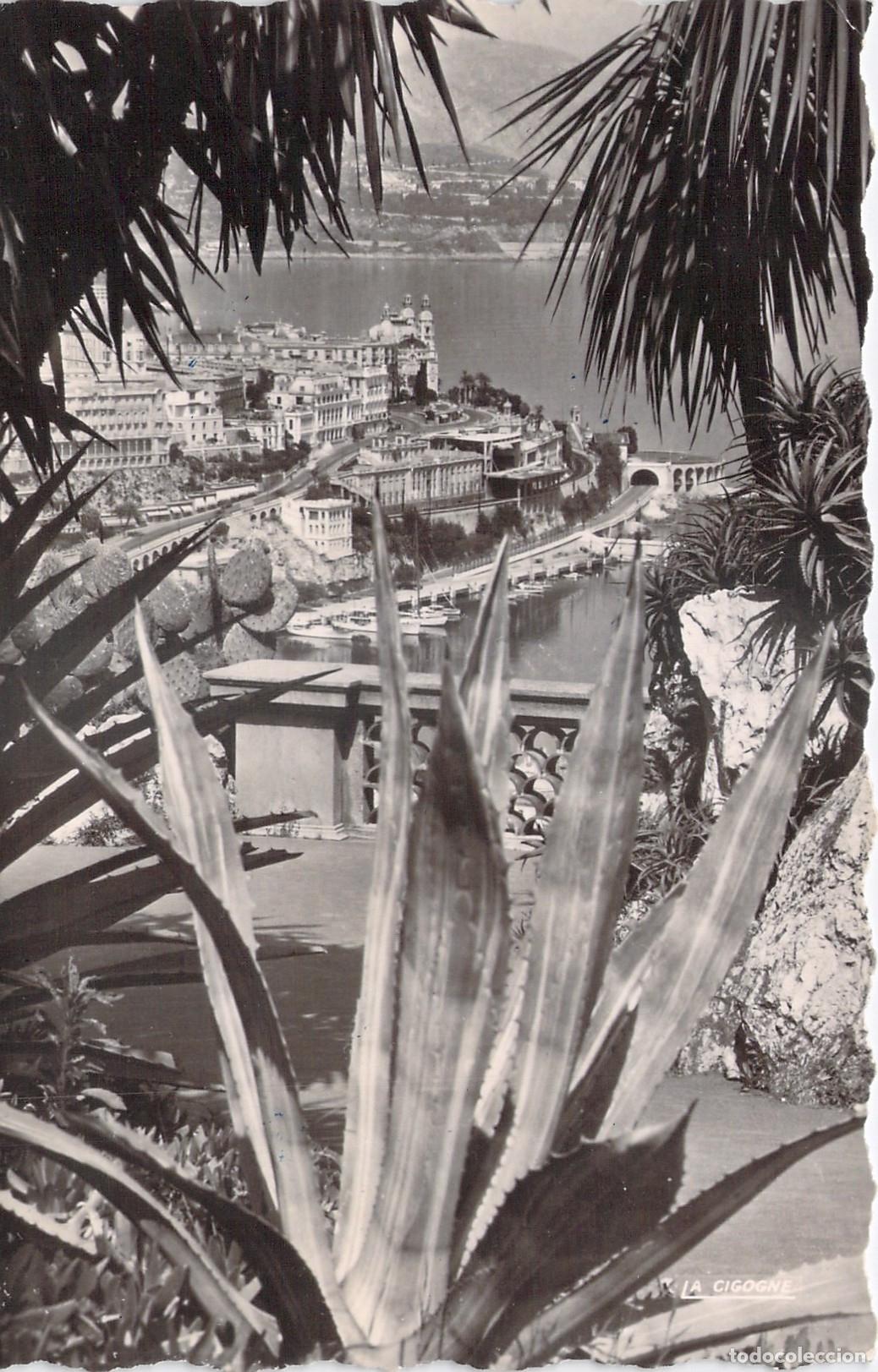 Postales: Postal de Montecarlo y el Casino desde el Jard&iacute;n Ex&oacute;tico