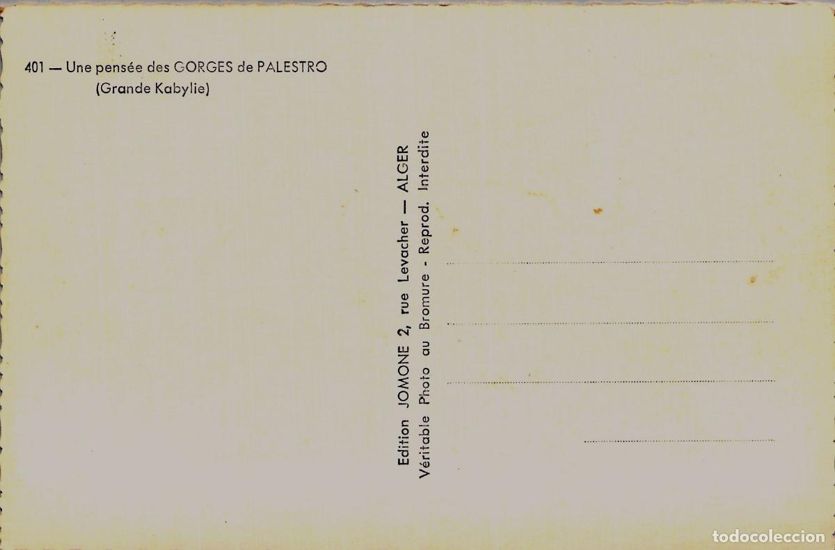 Postales: Postal de las Gargantas de Palestro en la regi&oacute;n de Cabilia, Argelia - Foto 2
