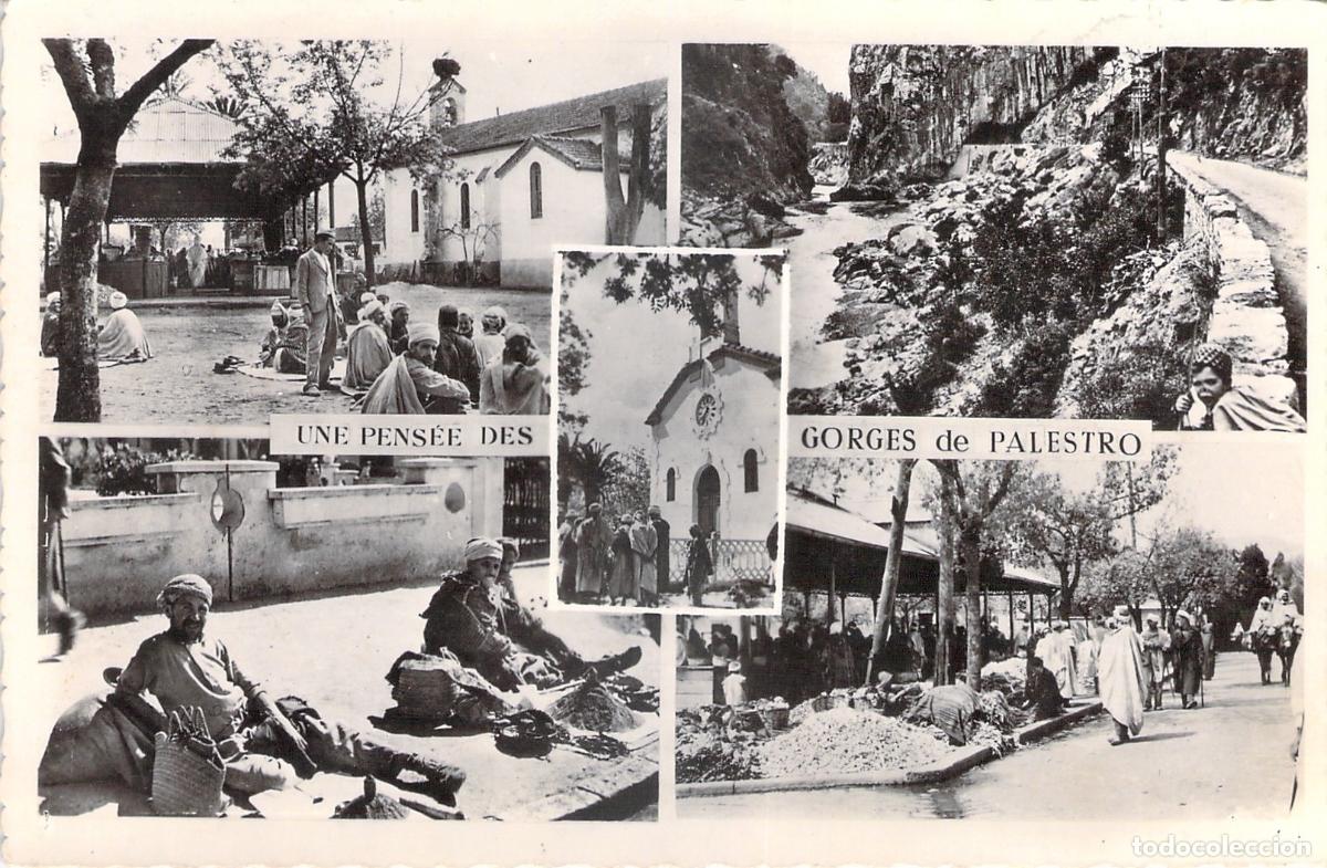 Postales: Postal de las Gargantas de Palestro en la regi&oacute;n de Cabilia, Argelia - Foto 1