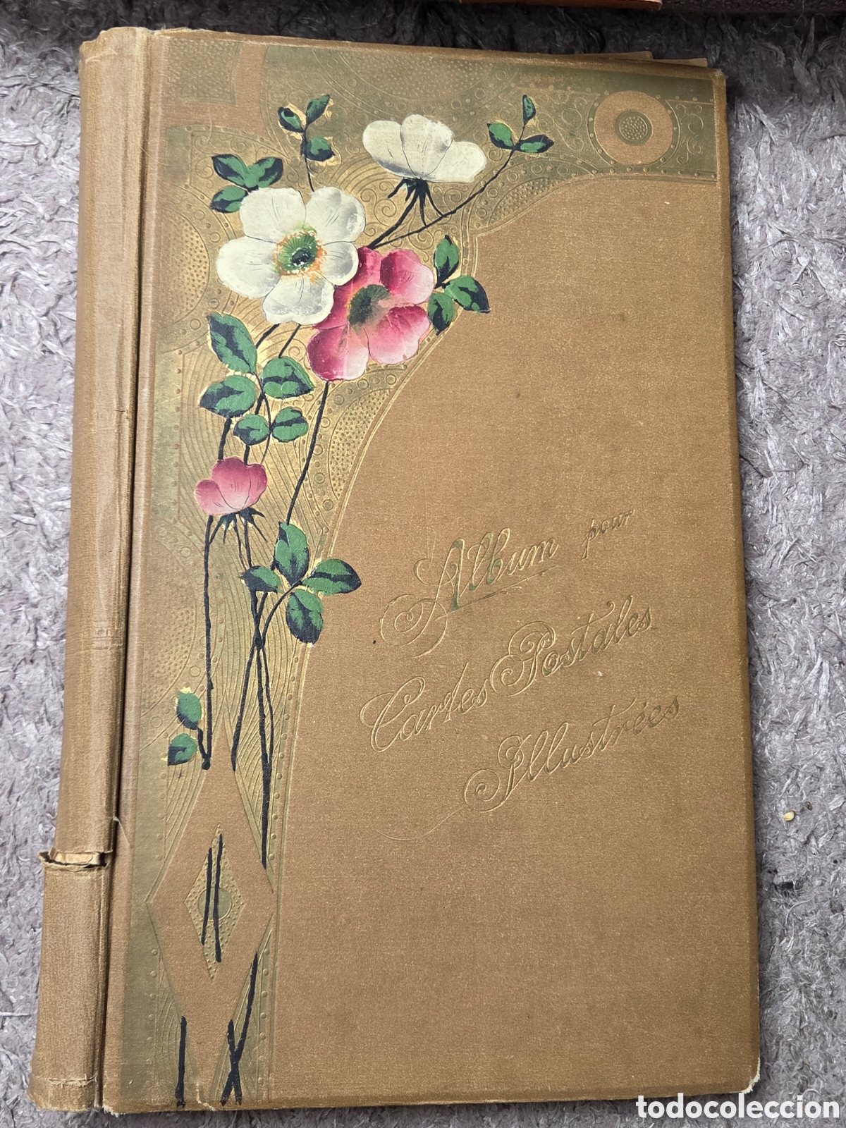 Postcards: ANTIGUO ALBUM DE POSTALES VAC&Iacute;O PRINCIPIOS SIGLO XX