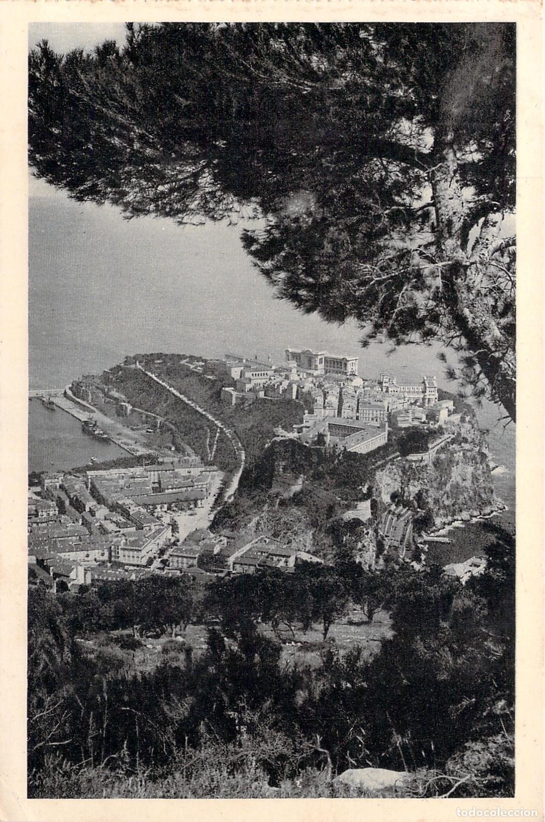 Postcards: Postal de M&oacute;naco Le Rocher visto entre los pinos