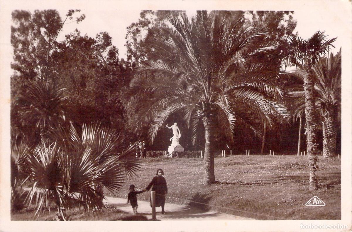 Postcards: Postal de T&uacute;nez: Parque Le Belv&eacute;d&egrave;re con estatua y palmeras