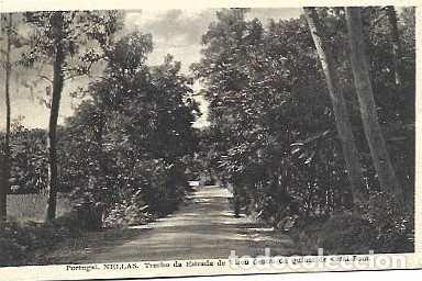 Postales: Portugal y Nellas, tramo de la carretera de Viseu dentro de la Quinta de Casal-Bom (3112)