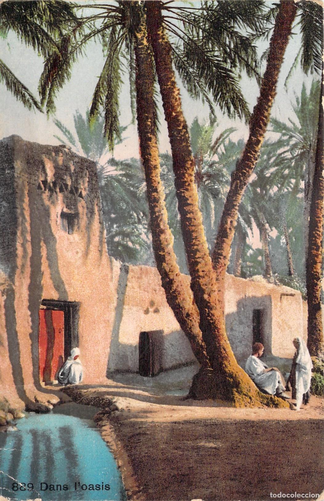 Postais: Postal de un Oasis en Biskra, Argelia