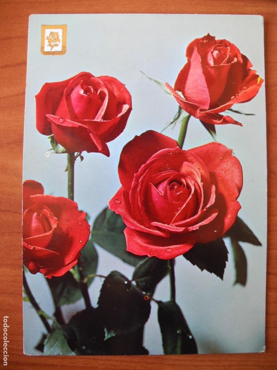 Postales: Flores. Rosas. Escudo de oro Series B n. 12.