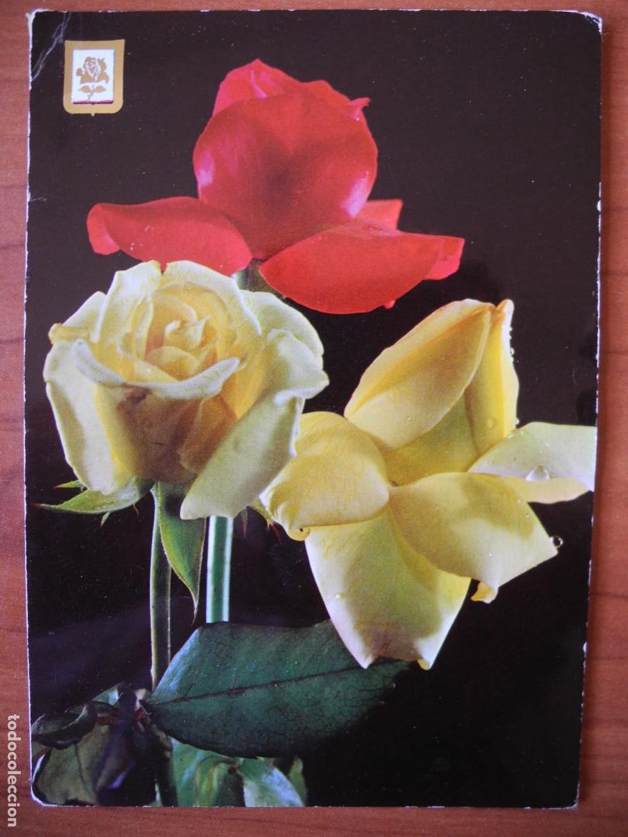 Postales: Flores. Rosas. Ed. Escudo de Oro.