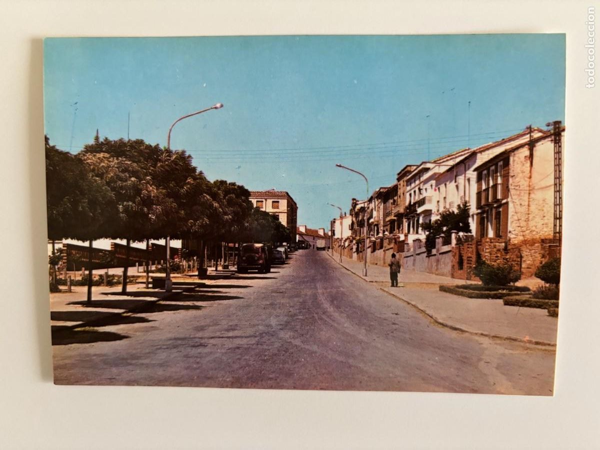 Postales: Postal Almad&eacute;n Ciudad Real - Avenida de Espa&ntilde;a (1966)