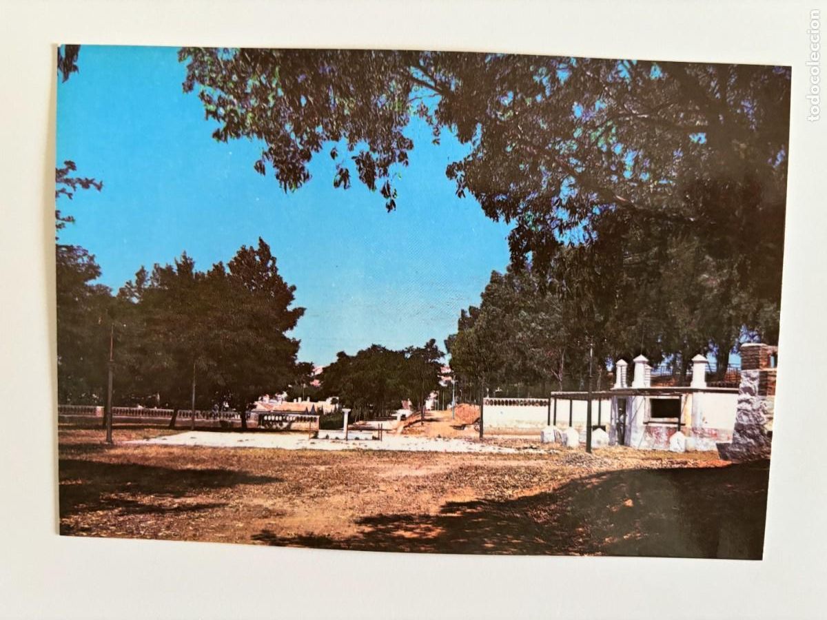 Postales: Postal Almad&eacute;n Ciudad Real - Parque Municipal (1966)