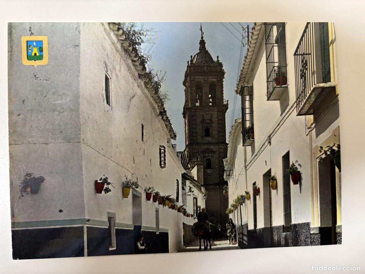 Postales: Postal (Montilla) C&oacute;rdoba - Tipico barrio de la escuchuela