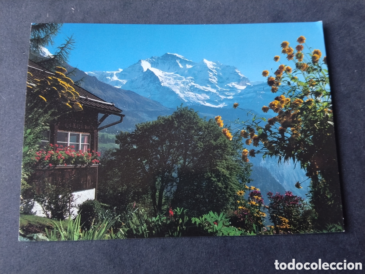 Postales: Postal Wengen ............. - Foto 1