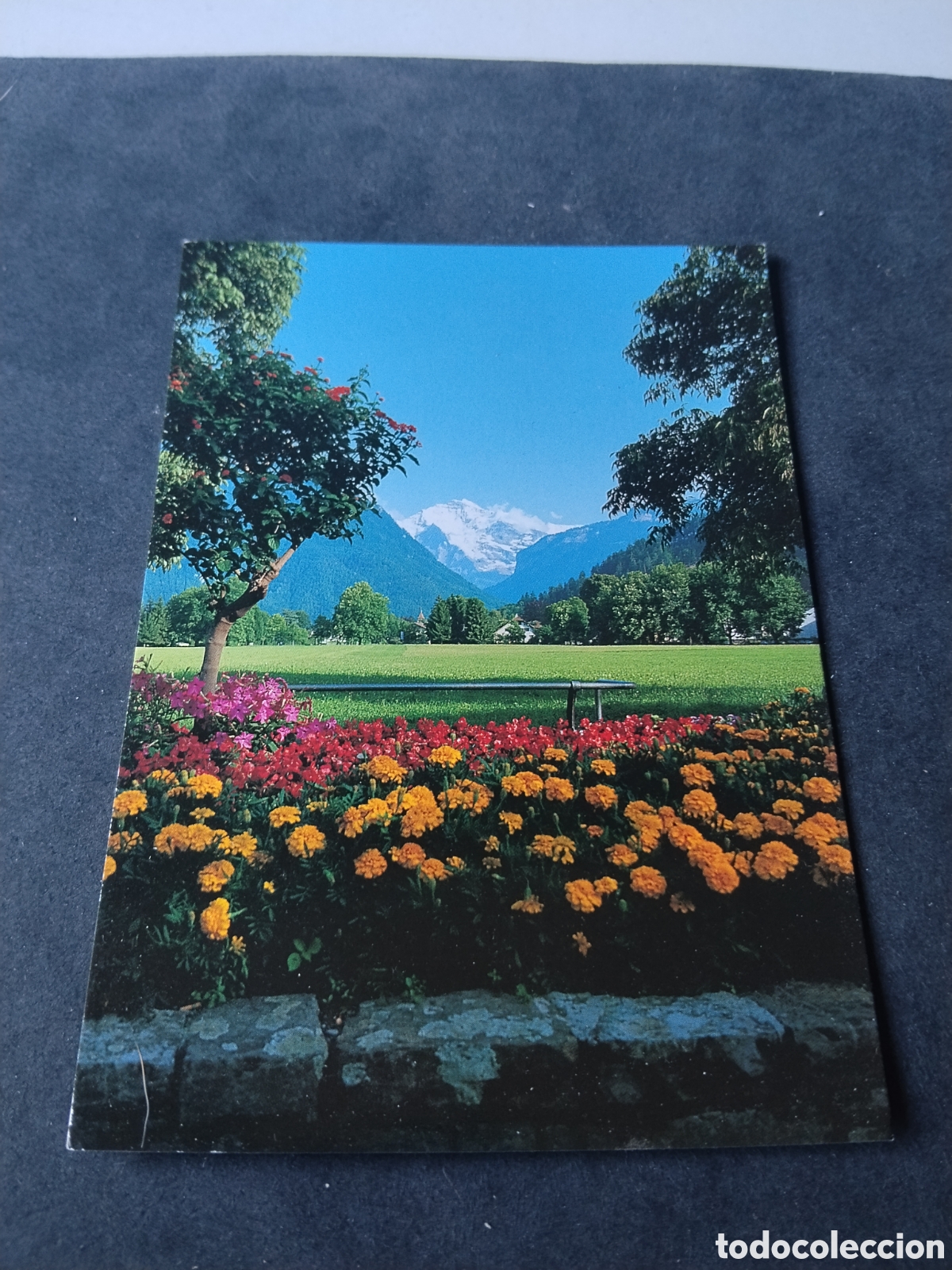 Postales: Postal Interlaken Berner Oberland ....... - Foto 1