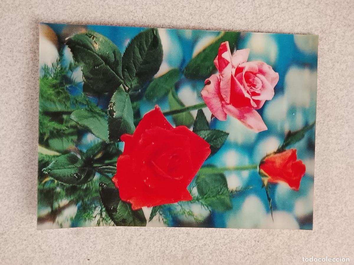Postales: ANTIGUA POSTAL A&Ntilde;OS 70S TRES DIMENSIONES 3D FLORES ROSAS