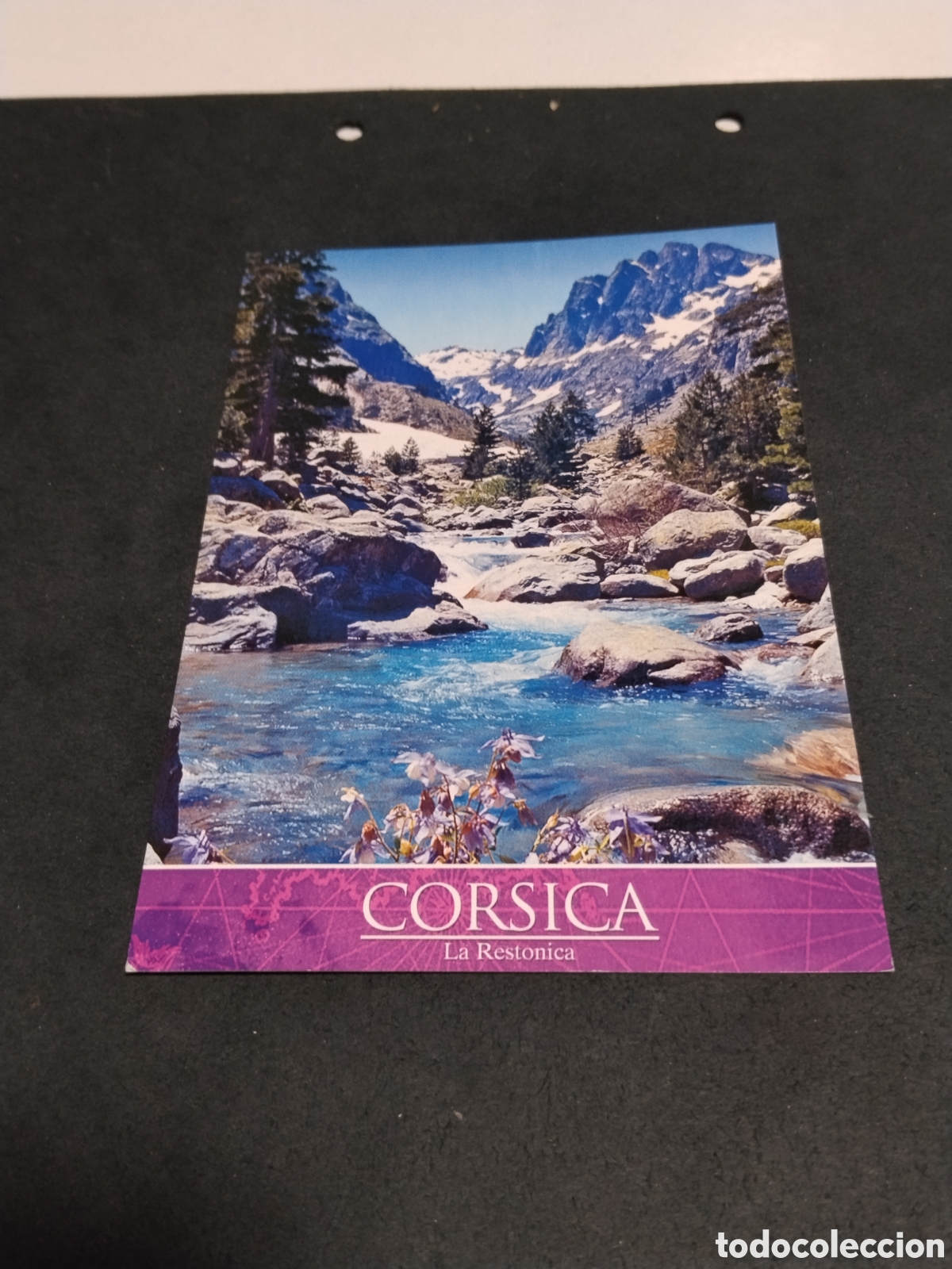 Postales: Postal Corsica - Le Restonica