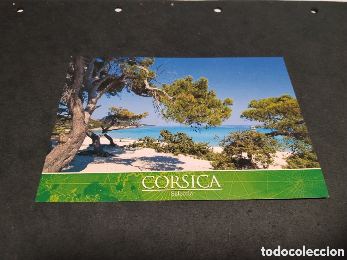 Postales: Postal Corsica - Saleccia - Foto 1