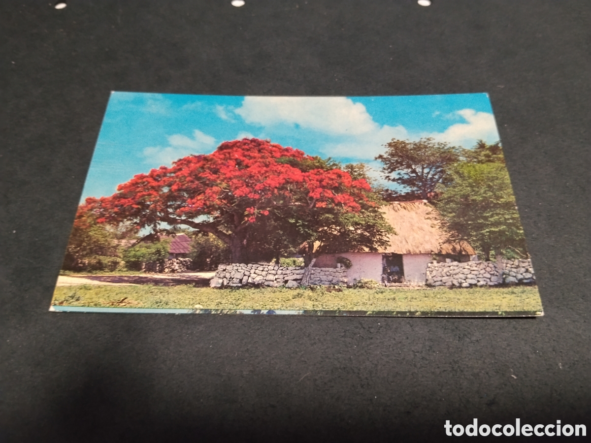 Postales: Postal Impreso en M&eacute;xico M&eacute;rida , Yucat&aacute;n - Foto 1