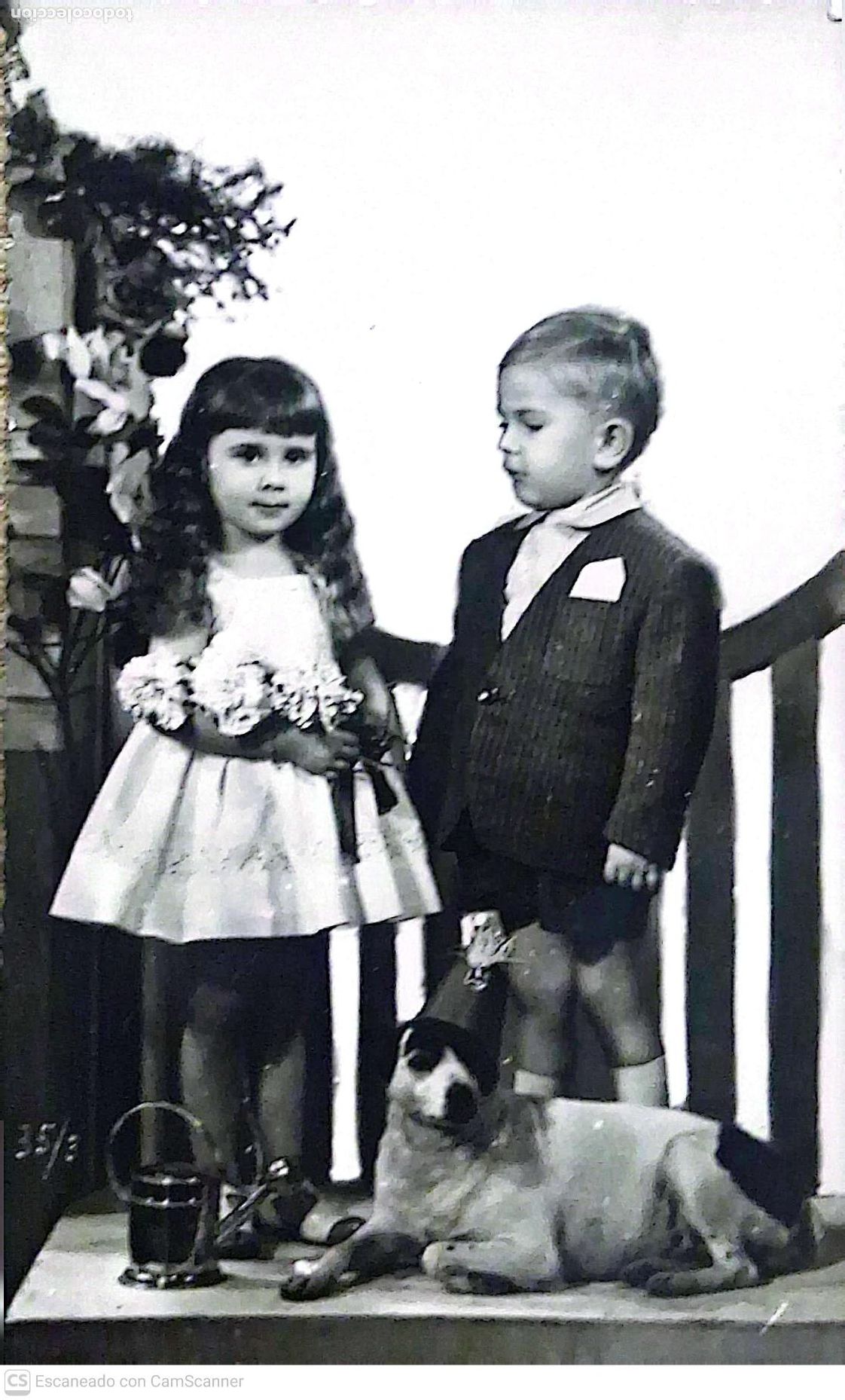 Postales: Foto: Ni&ntilde;o y ni&ntilde;a con perro. Ver foto.