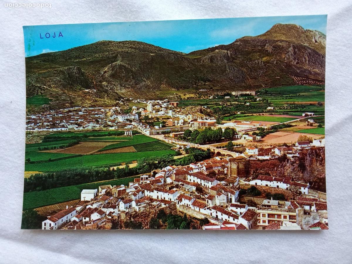 Postales: Postal Loja (Granada) vista panoramica P.399