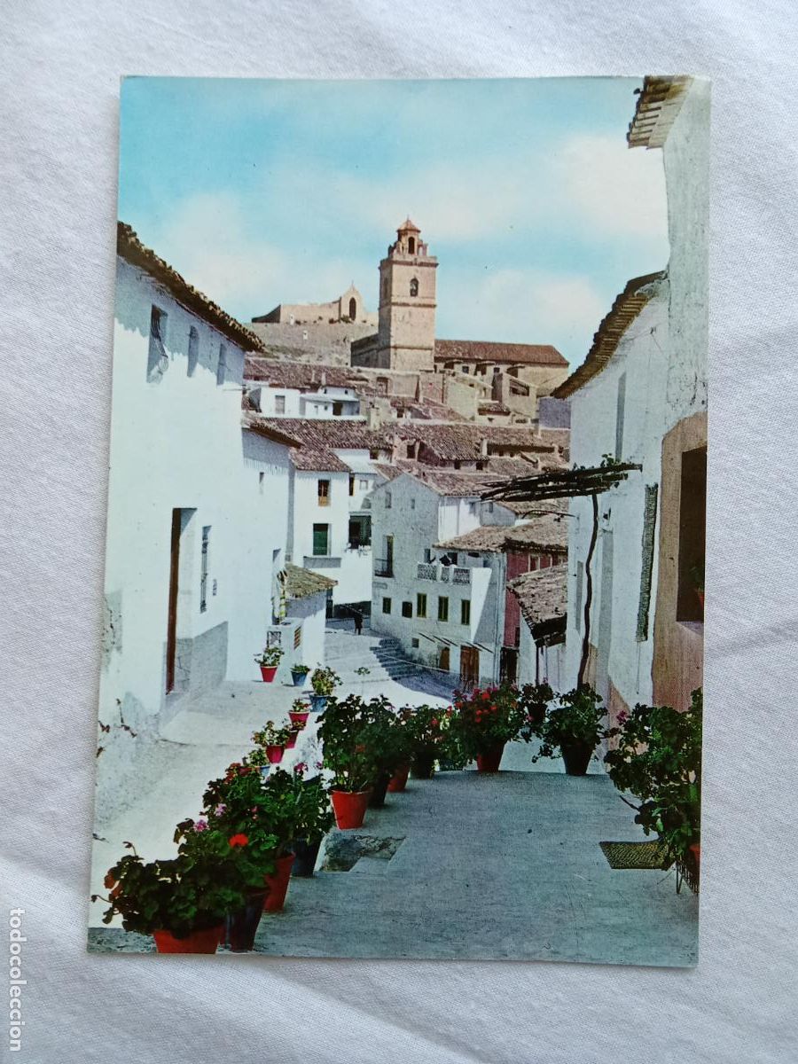 Postales: Postal Polop de la Marina Calle &rdquo;El tosalet&rdquo; P.413