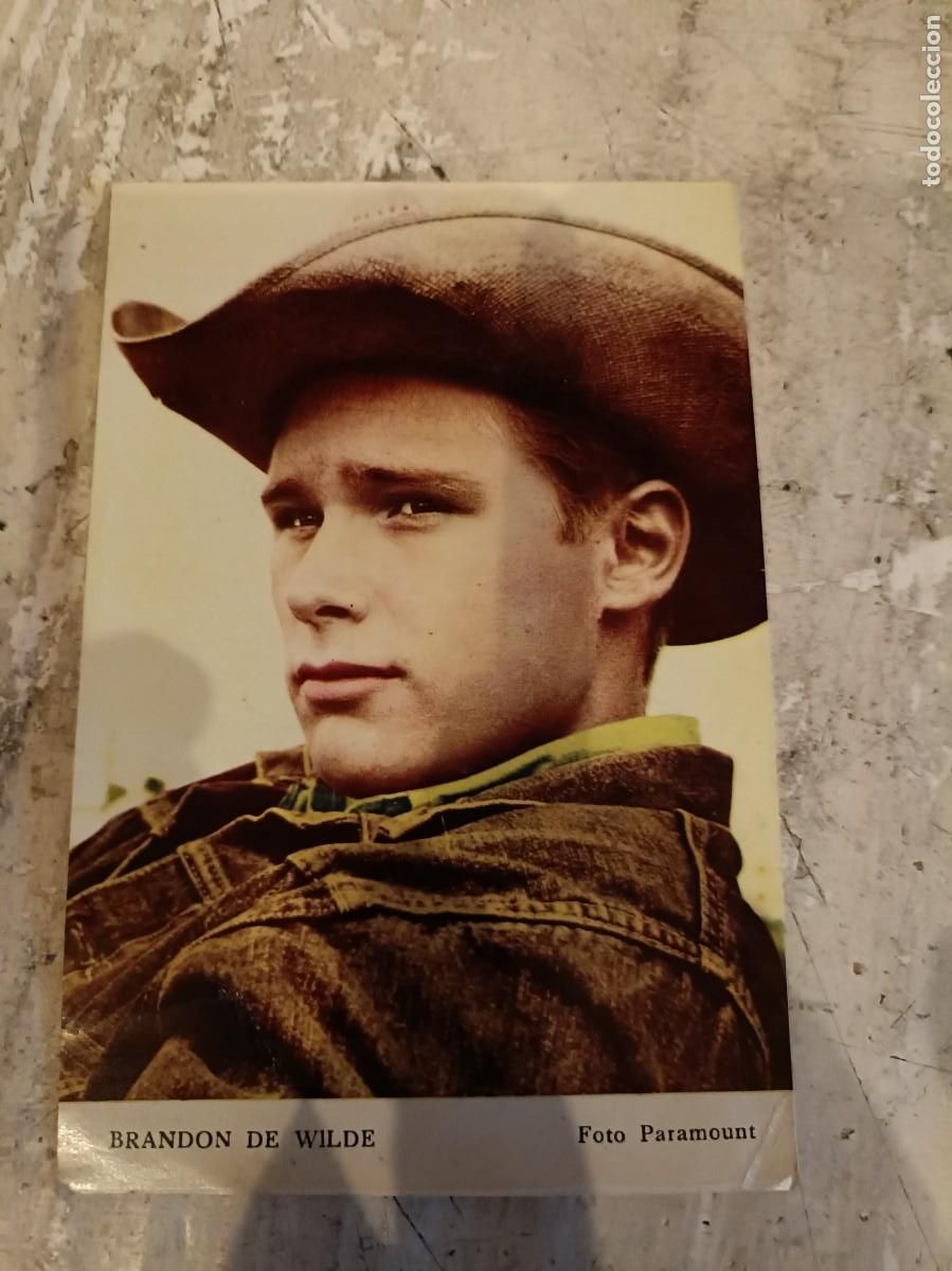 Postales: TARJETA CROMO BRANDON DE WILDE POSTAL ORIGINAL - Foto 1