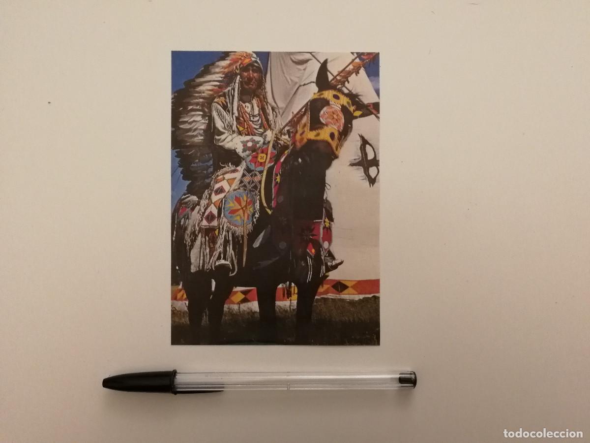 Postales: TARJETA ACARTONADA -9*13- INDIO NATIVO AMERICANO - INDIOS - Foto 1