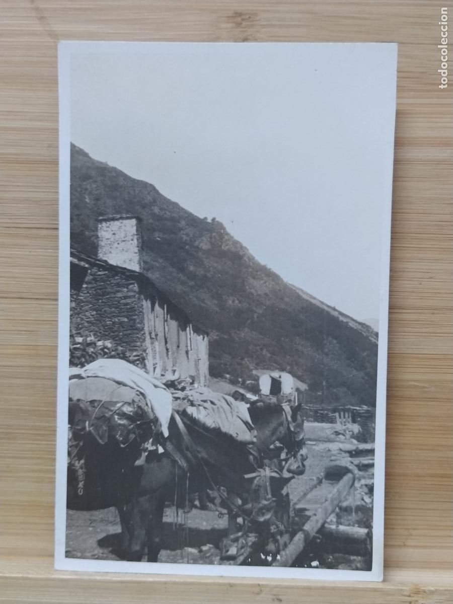 Postales: LUGAR SIN IDENTIFICAR - FOTOGRAFICA - POSTAL ANTIGUA -(117.052)