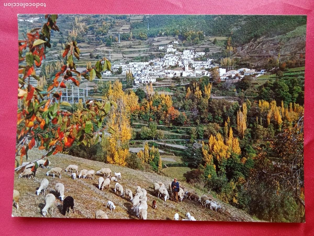 Postales: Postal Granada. Las Alpujarras, Pampaneira P.1306