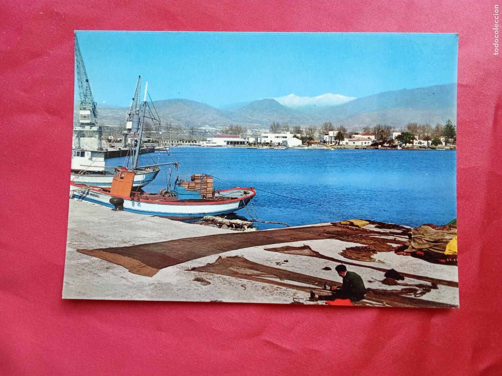 Postales: Postal Motril (Costa del Sol) Vista del Puerto y Sierra Nevada P.1312