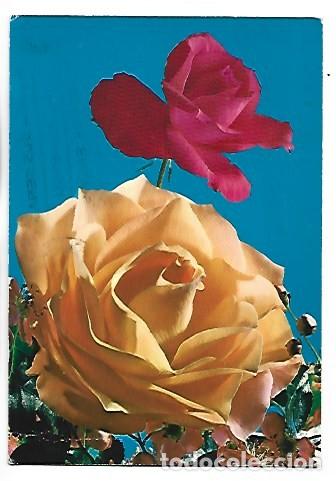 Postales: PAREJA DE ROSAS.- (FLORES) - Foto 1