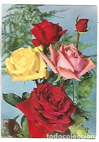 Postales: CENTRO ROSAS MULTICOLOR.- (FLORES) - Foto 1