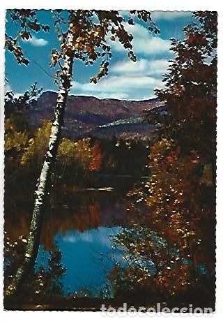 Postales: NATURALEZA OTO&Ntilde;AL - NATURE IN AUTUMN