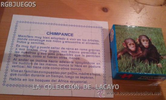 Puzzles: PUZZLE CHIMPANC&Eacute; OBSEQUIO NESQUIK, DE EDUCA A&Ntilde;OS 70 NUEVO - Foto 2