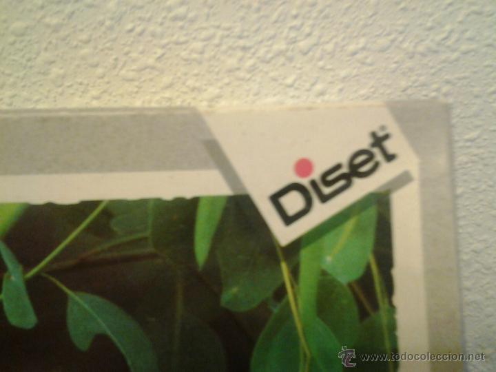 Puzzles: Puzzle de 1000 piezas. Diset Koala con su cr&iacute;a - Foto 2