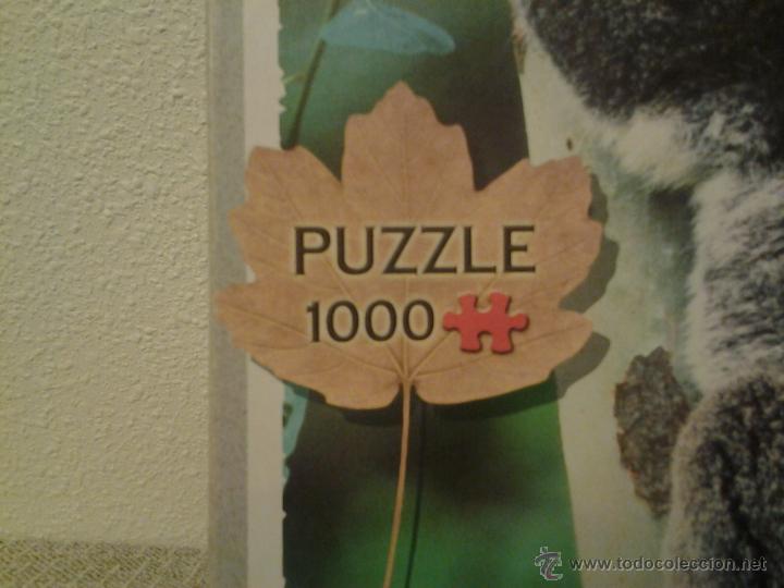 Puzzles: Puzzle de 1000 piezas. Diset Koala con su cr&iacute;a - Foto 3