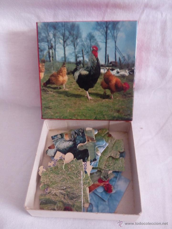 Puzzles: PACK 5 PUZZLES ANIMALES NESQUIK - Foto 6