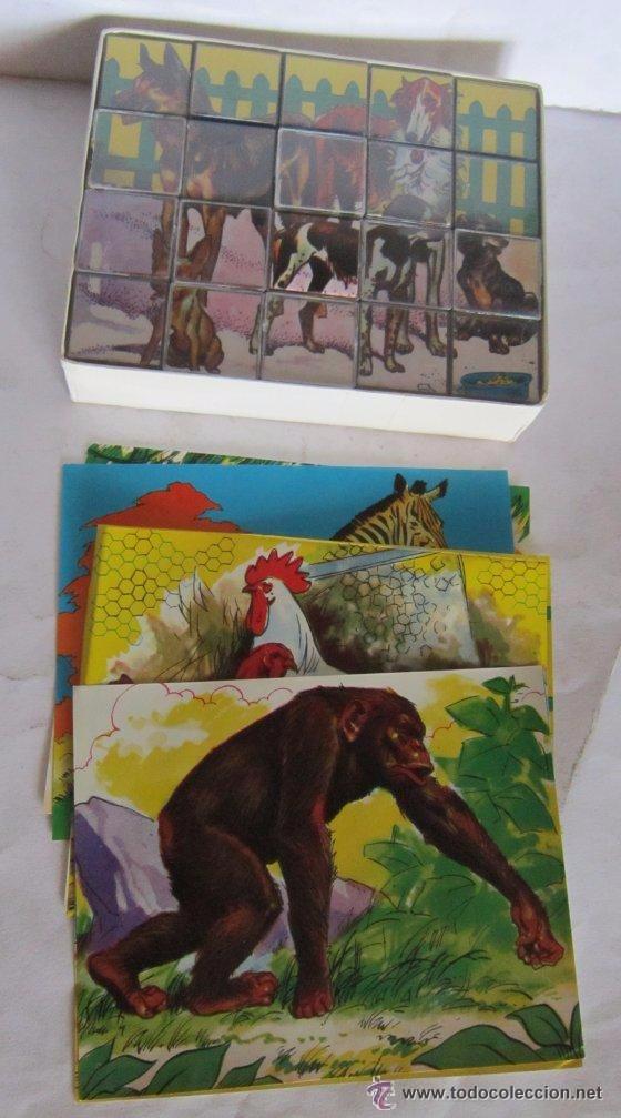 Puzzles: ROMPECABEZAS HISTORIA NATURAL, DE MOLTO, EN CAJA. CC - Foto 2